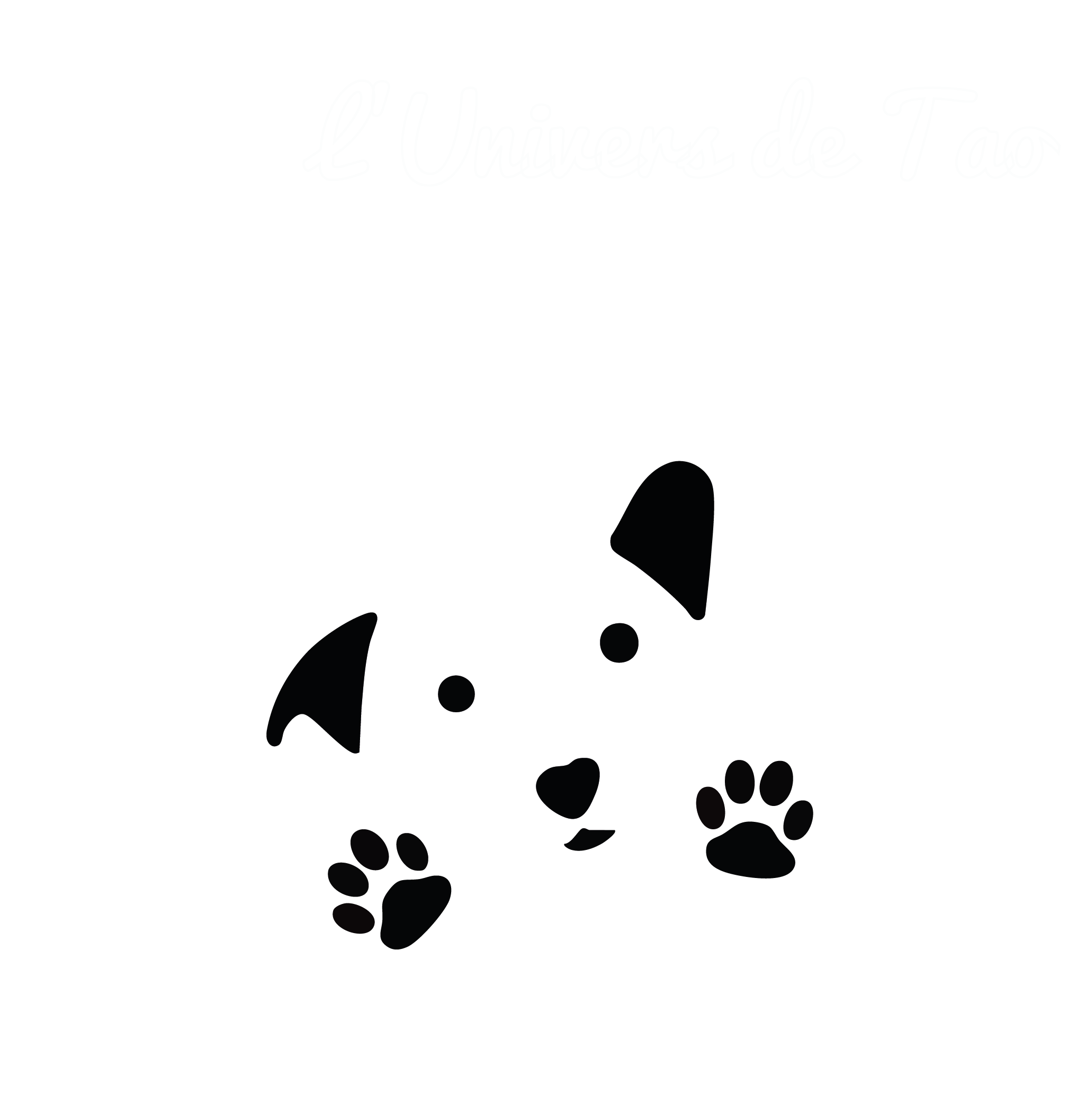 <span class="widget-title-word widget-title-word-1">L’Univers</span> <span class="widget-title-word widget-title-word-2">de</span> <span class="widget-title-word widget-title-word-3">Tao</span> <span class="widget-title-word widget-title-word-4">asbl</span>