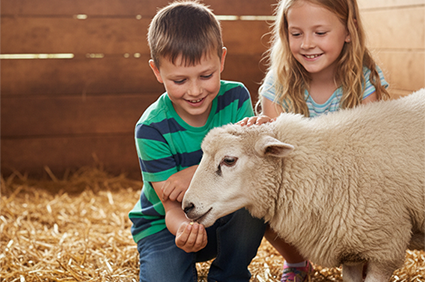 Activités extrascolaires