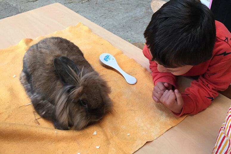 Les Pt'its Soigneurs (18 mois-3 ans)